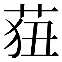 漢字の莥