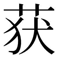 漢字の获