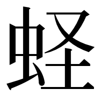 漢字の蛏