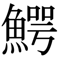 漢字の鰐