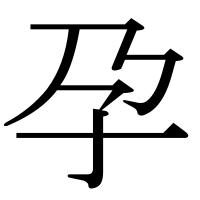 漢字の孕