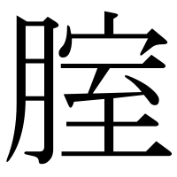 漢字の腟