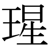 漢字の瑆