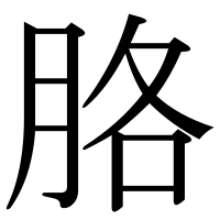 漢字の胳