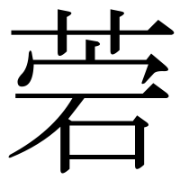 漢字の菪