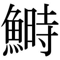 漢字の鰣