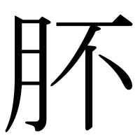 漢字の肧