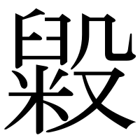 漢字の毇