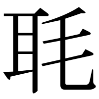 漢字の毦