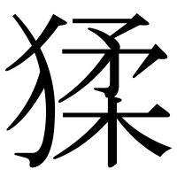 漢字の猱