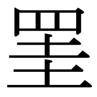 漢字の罣