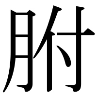 漢字の胕