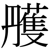 漢字の雘