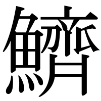 漢字の鱭