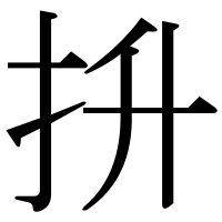 漢字の抍