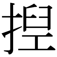 漢字の揑