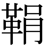 漢字の鞙