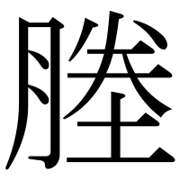 漢字の塍