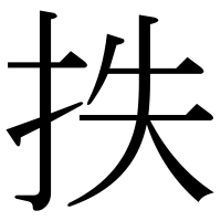漢字の抶