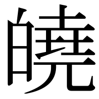 漢字の皢