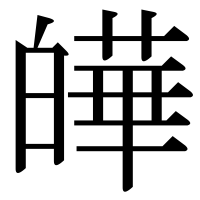 漢字の皣