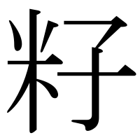 漢字の籽