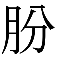 漢字の肦