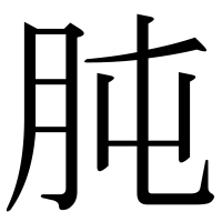 漢字の肫
