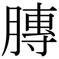 漢字の膞
