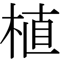 漢字の植