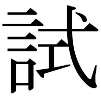 漢字の試