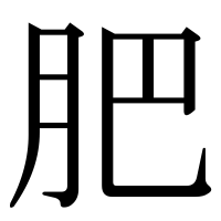 漢字の肥