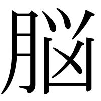 漢字の脳