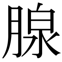漢字の腺