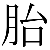 漢字の胎