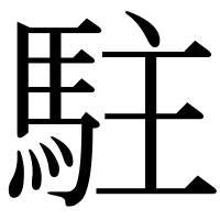 漢字の駐