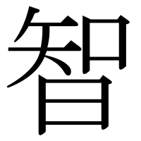 漢字の智