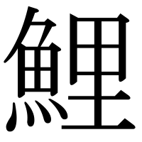 漢字の鯉