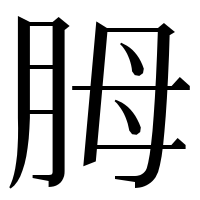 漢字の胟