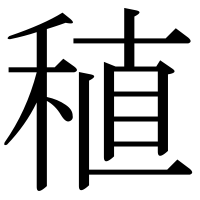 漢字の稙