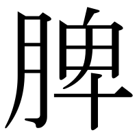 漢字の脾