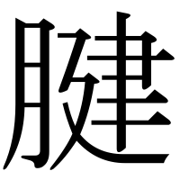 漢字の腱