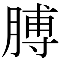 漢字の膊