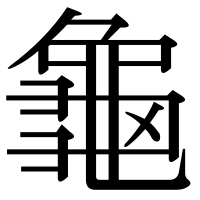 漢字の龜