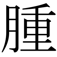 漢字の腫