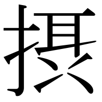 漢字の摂