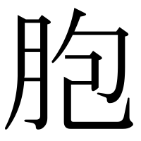 漢字の胞